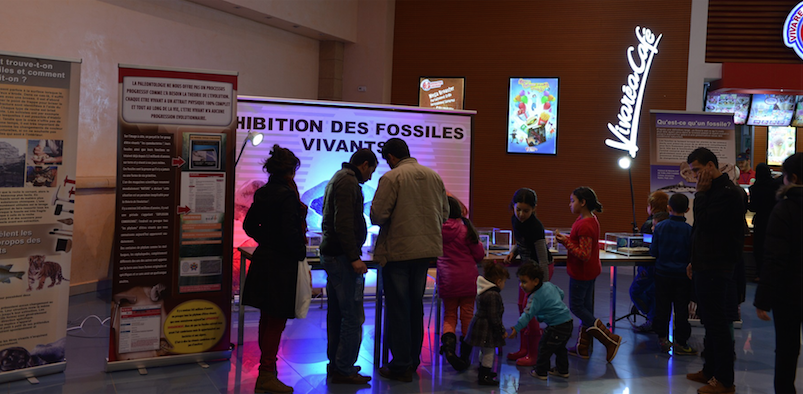Cezayir’de bir Alışveriş Merkezi’nde Fosil Sergisi